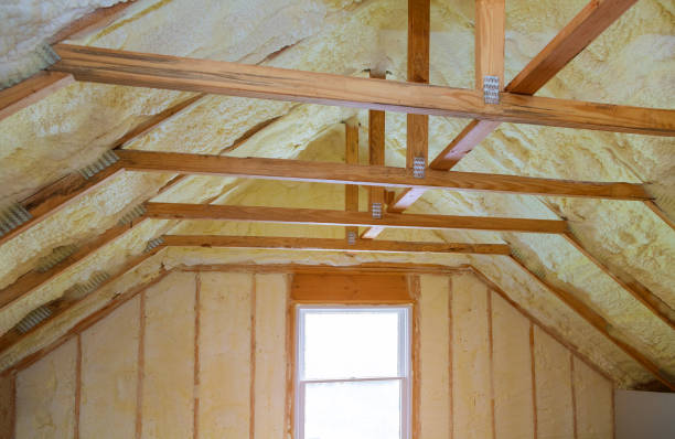 Best Cellulose Insulation  in Versailles, IN