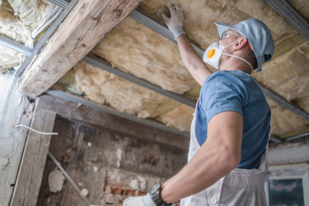 Insulation Repair Services in Versailles, IN