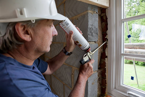 Best Insulation Replacement Services  in Versailles, IN